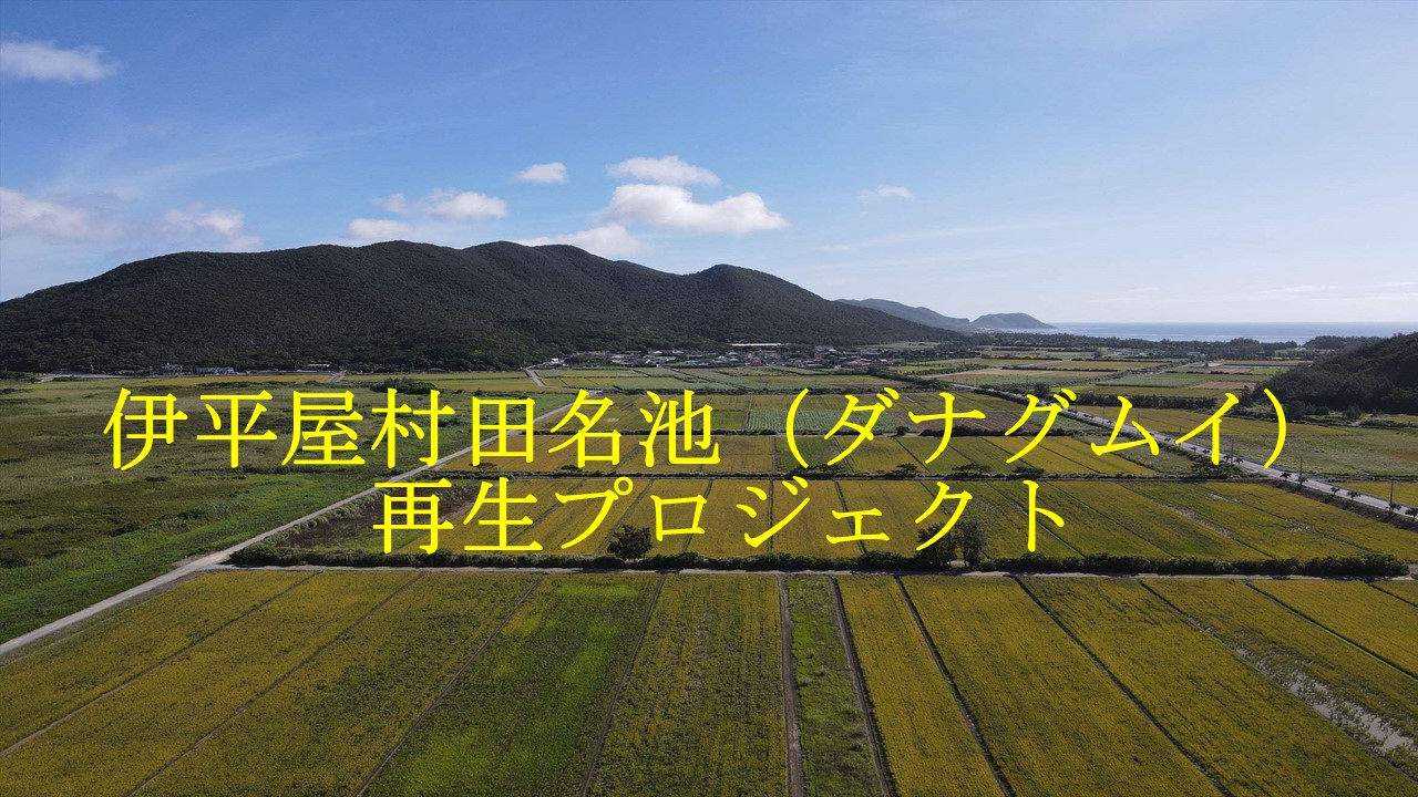 田名グムイ(池)　再生プロジェクト