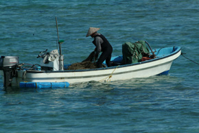漁をしている漁師の画像