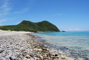 田名岬の海岸の画像