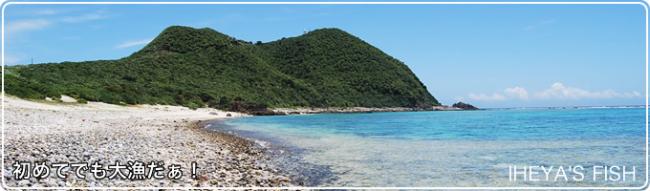 晴れた日の海岸の画像